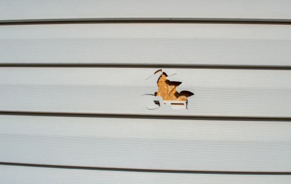 Siding Hole Repair in Wentzville