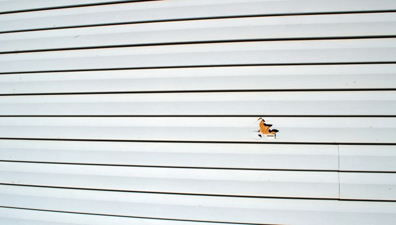 Panel Removal and Preparation